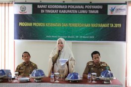 Optimalkan Layanan, Dinkes Bentuk Pokjanal Posyandu