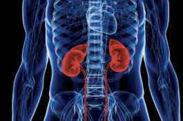 10 Kebiasaan Buruk yang Dapat Merusak Ginjal Anda