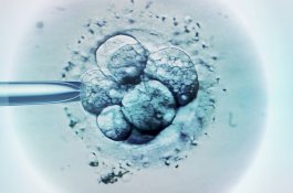 Satu Lagi Bayi Dilahirkan dari Dua Ibu dan Satu Ayah