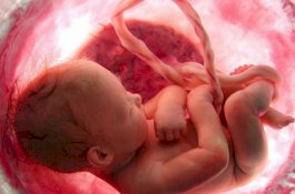 Bayi Menangis Sejak Masih dalam Kandungan, Bagaimana Caranya?