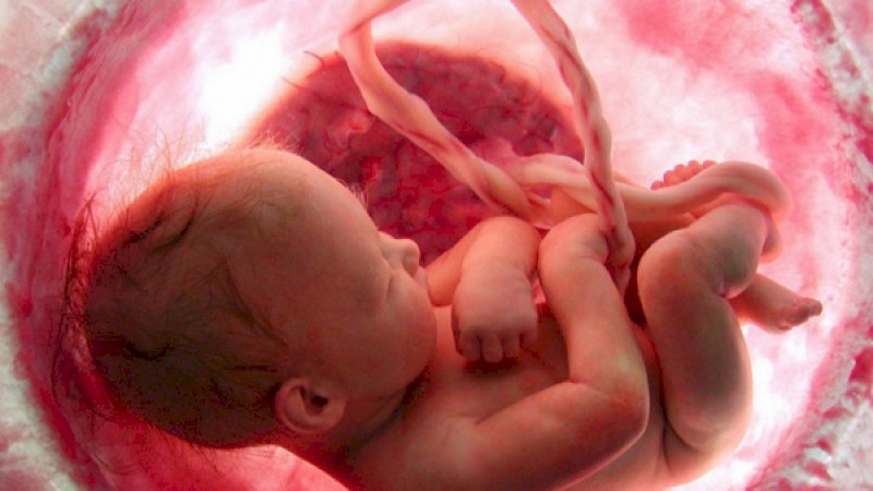 Bayi Menangis Sejak Masih dalam Kandungan, Bagaimana Caranya?