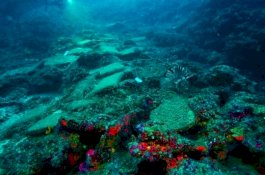 Kapal Dagang yang Karam 3600 Tahun Lalu Ditemukan, Peneliti Hitung Emas di Dalamnya