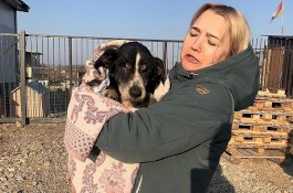 Wanita Cantik Ini Kaget, Anjing yang Dia Kuburkan Hidup Kembali