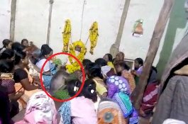 Seolah Mengerti Kesedihan, Monyet ini Tenangkan Orang Berduka di Pemakaman