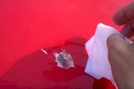 Begini Cara Membersihkan Kotoran Burung di Mobil tanpa Meninggalkan Goresan