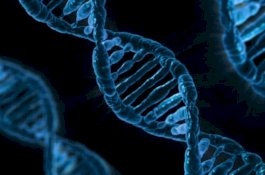 Jepang Berupaya Rancang Hukum Terkait Pengeditan Gen Bayi