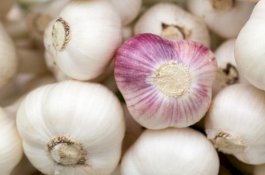 Ini Sebabnya Mengapa Anda Harus Tidur dengan Satu Siung Bawang Putih di Bawah Bantal