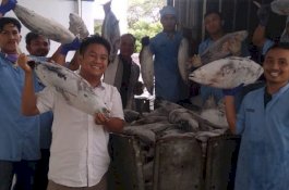Produksi Perum Perindo Makassar Meningkat 10 Kali Lipat
