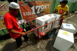 Pulang Antar Kotak Suara, Petugas PPS Tewas Ditabrak Babi