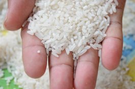 Parepare Luncurkan Program Beras Sehat