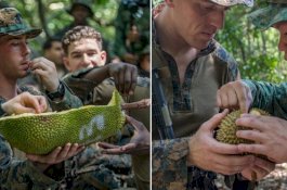 Lucu, Tentara AS Latihan Survival di Hutan dengan Makan Durian dan Nangka