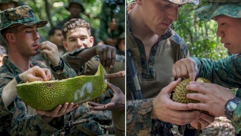 Prajurit AS, bertahan hidup di hutan dengan memakan nangka dan durian.