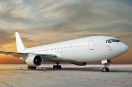 Ibu dan Anak Mabuk Bikin Pesawat Delay dan Dipenjara