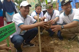 Peringati Hari Bumi, Tonasa Tanam 545 Pohon di Balocci