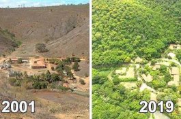 Pasangan Suami Istri Hidupkan Kembali Hutan Tandus Dalam 20 Tahun