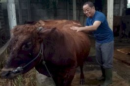 Gara-Gara Provinsi Garis Keras, Ditantang Mahfud MD, Said Didu Balik Tantang Warganet