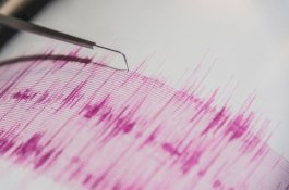Gempa Bumi Geser Pulau Utara Selandia Baru 4 Cm