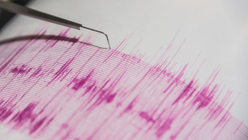 Gempa Bumi Geser Pulau Utara Selandia Baru 4 Cm