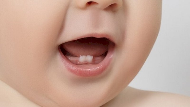 Ilustrasi gigi bayi
