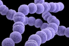 Pria ini Nyaris Kehilangan Kaki Karena Dimakan Bakteri Selama Liburan