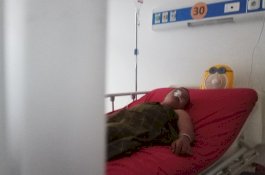 Anjing Gila Gigit 7 Warga di Bulukumba, Dinkes Kehabisan Vaksin