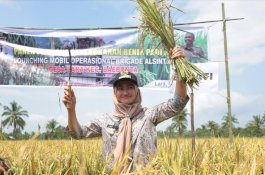 Produksi Padi 2018, Luwu Utara Tertinggi di Sulsel