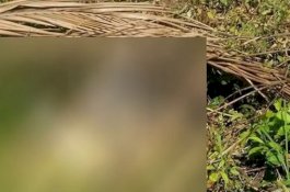 Mayat Perempuan Cuma Pakai Celana Dalam Ditemukan Tanpa Kepala