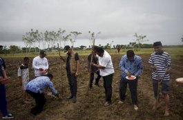 Syamsari Kitta Tanami Lahan Kosong di Takalar dengan Jagung