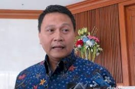 Mardani Haramkan 2019 Ganti Presiden, Kubu Prabowo Bilang Begini