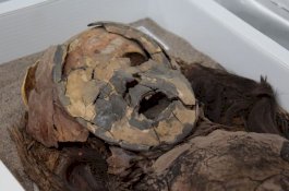 Mengejutkan! Mumi Tertua di Dunia Tidak Berasal Dari Mesir