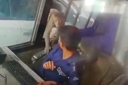 CCTV Rekam Monyet Mencuri Uang Rp1 Juta dari Kasir Pintu Tol