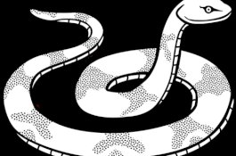 Jangan Harap Anda Temukan Ular di Negara Ini