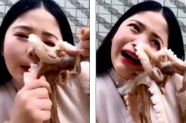 Vlogger Ini Coba Makan Gurita Hidup-hidup, Wajahnya Malah Dihisap