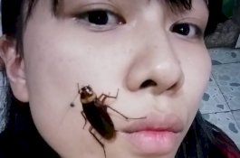 Tantangan Selfie Dengan Kecoak Lagi Trend, Pikirkan ini Sebelum Ikutan!