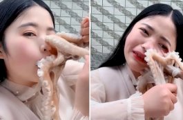 Video Gurita Langsung Menempel ke Wajah Wanita Cantik yang Hendak Memakannya