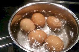 Ini Alasannya Anda Perlu Menuangkan Air Telur Rebus ke Tanah Tanaman Anda