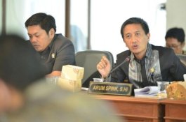 Didominasi Pendatang Baru, Hanya Arum Spink Petahana Berhasil Lolos di Dapil V DPRD Sulsel