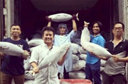 Harga Ikan Anjlok, Perum Perindo Makassar Minta Stop Impor Ikan