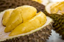 Gara-gara Bau Durian, Ratusan Orang Dievakuasi di Kampus Australia