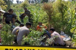 Satu Terduga Pelaku Pembunuh dan Pembakar Mayat Ditangkap
