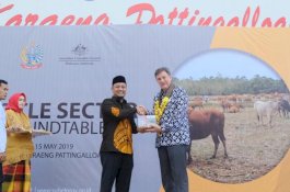 Pemprov dan Australia Jalin Kerjasama Majukan Peternakan di Sulsel