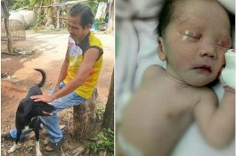 Bayi Malang Dikubur Hidup-hidup Ibunya, Diselamatkan Anjing yang Lihat Kakinya Menyembul