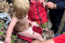 3 Hari Hilang, Balita Ini Ditemukan Selamat di Dalam Hutan Belantara