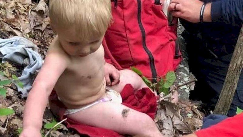 3 Hari Hilang, Balita Ini Ditemukan Selamat di Dalam Hutan Belantara