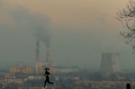 Terungkap: Polusi Udara Dapat Merusak Setiap Organ Dalam Tubuh