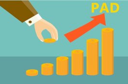 PAD Tidak Capai Target, Kepala UPTD Parkir Diminta Diparkir