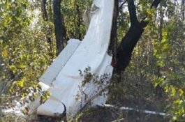 Pilot Pakai Sabu-sabu Sebelum Terbang, Pesawat Jatuh Tabrak Pohon di Hutan