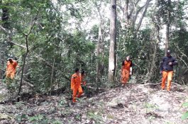 Hari Kedua Pencarian Orang Hilang di Hutan Bone Masih Nihil