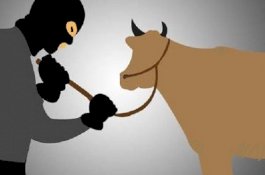 Polres Takalar Keluarkan Sprint Penangkapan Bapak Ketua DPRD Takalar, Ini Sebabnya