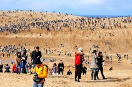 Jepang Himbau Wisatawan untuk Berhenti Menulis di Bukit Pasir